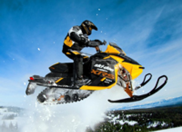 Snow Mobile & ATV Bearings