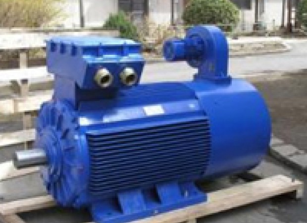 Electrical Motor and Gear Box/Speed Reducer